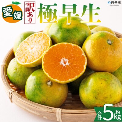 <【訳あり】愛媛県産 極早生 約5kg 訳あり 果物 くだもの フルーツ>