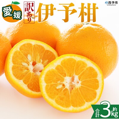 <【訳あり】愛媛県産 伊予柑 約3kg 三代目みかん職人 >果物 えひめ