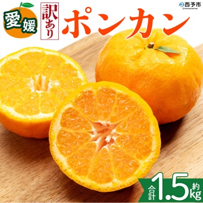 <【訳あり】愛媛県産 ポンカン 約1.5kg 三代目みかん職人 蜜柑 果物 くだもの>えひめ
