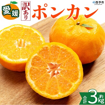 <【訳あり】愛媛県産 ポンカン 約3kg 三代目みかん職人 蜜柑 果物 くだもの>えひめ