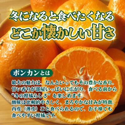 <【訳あり】愛媛県産 ポンカン 約3kg 三代目みかん職人 蜜柑 果物 くだもの>えひめ