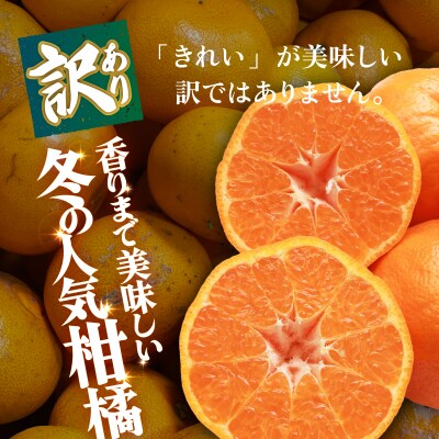 <【訳あり】愛媛県産 ポンカン 約3kg 三代目みかん職人 蜜柑 果物 くだもの>えひめ