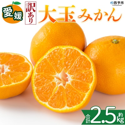 <【訳あり】愛媛県産 大玉みかん 約2.5kg 三代目みかん職人 蜜柑 果物 くだもの>えひめ