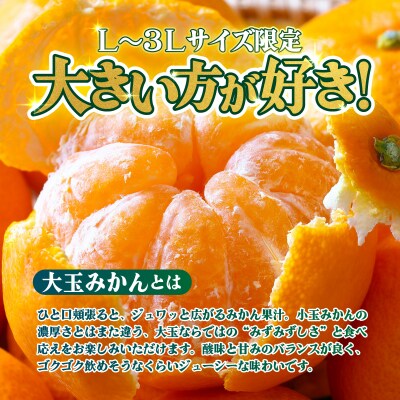 <【訳あり】愛媛県産 大玉みかん 約2.5kg 三代目みかん職人 蜜柑 果物 くだもの>えひめ