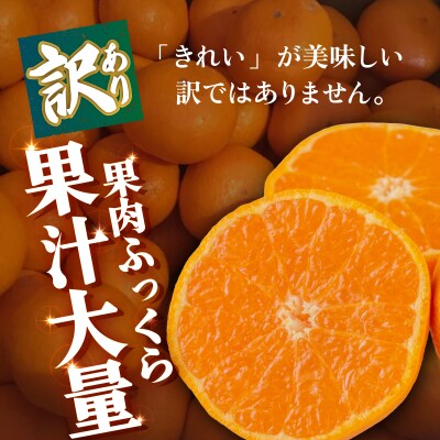 <【訳あり】愛媛県産 大玉みかん 約2.5kg 三代目みかん職人 蜜柑 果物 くだもの>えひめ