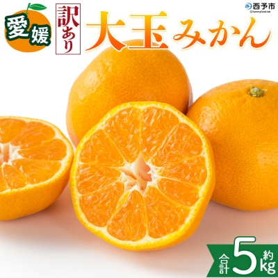 <【訳あり】愛媛県産 大玉みかん 約5kg 三代目みかん職人 蜜柑 果物 くだもの>えひめ