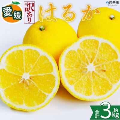 <【訳あり】愛媛県産 はるか 約3kg 蜜柑 訳あり 果物 三代目みかん職人>愛媛
