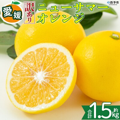<【訳あり】愛媛県産 ニューサマーオレンジ 約1.5kg 三代目みかん職人>えひめ
