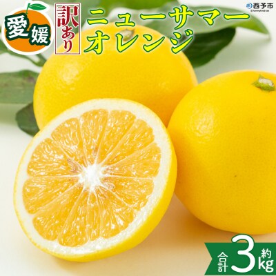 <【訳あり】愛媛県産 ニューサマーオレンジ 約3kg 三代目みかん職人>えひめ