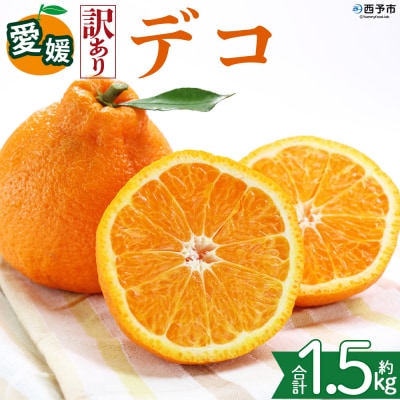 <【訳あり】愛媛県産 デコ 約1.5kg 三代目みかん職人>えひめ 愛媛 柑橘