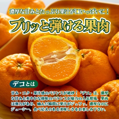 <【訳あり】愛媛県産 デコ 約1.5kg 三代目みかん職人>えひめ 愛媛 柑橘
