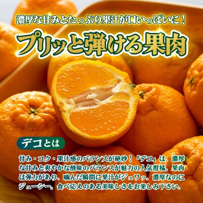 <【訳あり】愛媛県産 デコ 約3kg 三代目みかん職人>えひめ でこぽん
