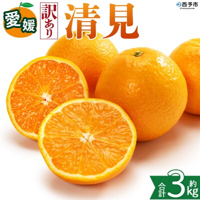  <【訳あり】愛媛県産 清見 約3kg 三代目みかん職人>えひめ きよみ