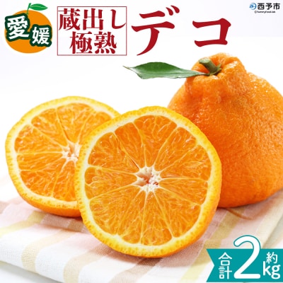 <蔵出し極熟デコ 約2kg 三代目みかん職人> 不知火 えひめ 愛媛 
