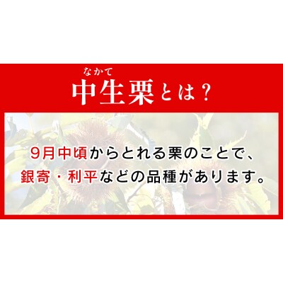 <中生栗 栗 約1kg 愛媛県西予市産 2Lまたは3Lサイズ>えひめ くり