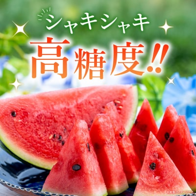 スイカ <愛媛県西予市産 中玉西瓜 1玉> 果物 くだもの 果肉 フルーツ 西瓜 すいか 中玉 