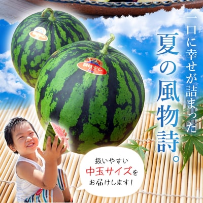 スイカ <愛媛県西予市産 中玉西瓜 1玉> 果物 くだもの 果肉 フルーツ 西瓜 すいか 中玉 