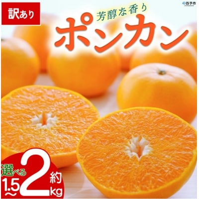 【先行予約】<訳あり 愛媛県産 ポンカン2kg>愛媛　えひめ　ミヤモトオレンジガーデン