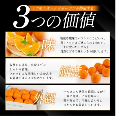 【先行受付】<訳あり 愛媛県産 いよかん 約2kg>ミヤモトオレンジガーデン えひめ