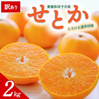 【先行受付】<訳あり 愛媛県産 せとか 約2kg>ミヤモトオレンジガーデン えひめ