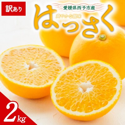 【先行受付】<訳あり 愛媛県産   八朔   約2kg>ミヤモトオレンジガーデン えひめ