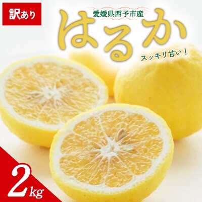 【先行受付】<訳あり 愛媛県産 はるか 約2kg>ミヤモトオレンジガーデン えひめ