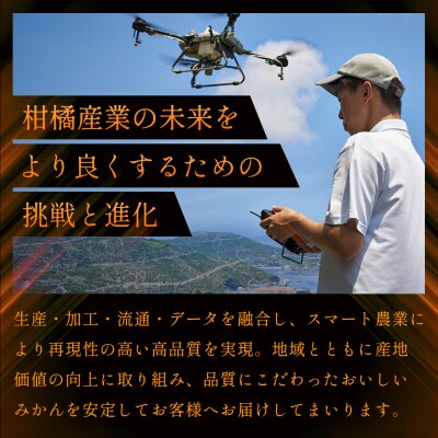 【先行受付】<訳あり 愛媛県産 はるか 約2kg>ミヤモトオレンジガーデン えひめ