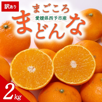 【先行受付】<訳あり 愛媛県産 まどんな 約2kg>ミヤモトオレンジガーデン えひめ