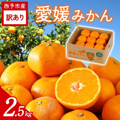  【先行受付】<訳あり 愛媛みかん 約2.5kg>ミヤモトオレンジガーデン えひめ 産地直送