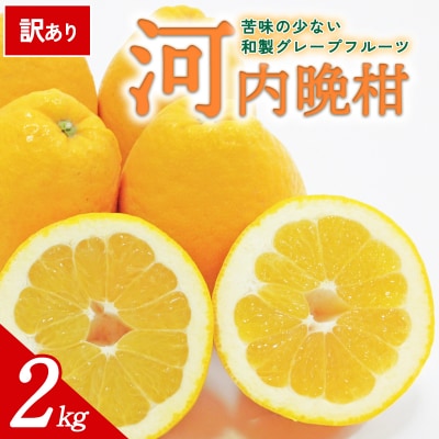  【先行受付】<訳あり 愛媛県産 河内晩柑 約2kg>ミヤモトオレンジガーデン えひめ