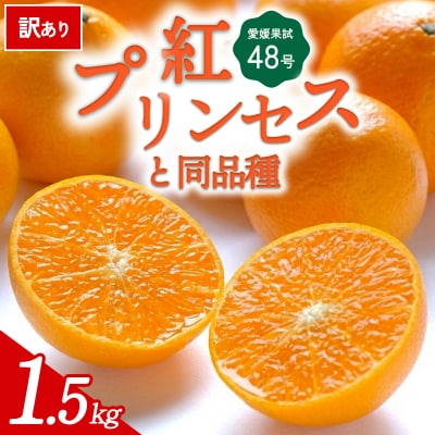  【先行受付】<訳あり 愛媛県産 愛媛果試48号 1.5kg>紅プリンセスと同品種