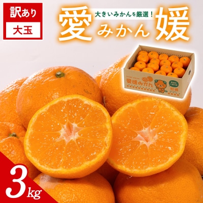 【先行受付】<訳あり 愛媛県産 大玉みかん 約3kg>ミヤモトオレンジガーデン えひめ
