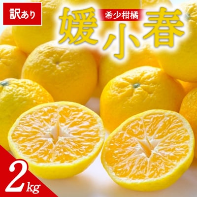【先行受付】<訳あり 愛媛県産 媛小春 約2kg>ミヤモトオレンジガーデン えひめ