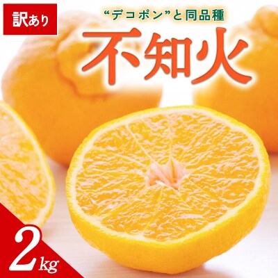 【先行受付】<訳あり 愛媛県産 不知火 約2kg>ミヤモトオレンジガーデン えひめ