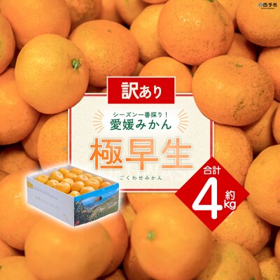 【先行受付】<訳あり 愛媛県産 極早生みかん 合計約4kg> えひめ　ミヤモトオレンジガーデン