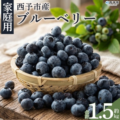 <愛媛県西予市産 朝採れブルーベリー ご家庭用 合計約1.5kg> 訳アリ 訳あり えひめ