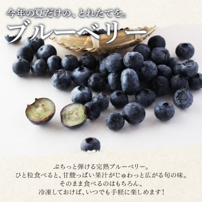 <愛媛県西予市産 朝採れブルーベリー ご家庭用 合計約1.5kg> 訳アリ 訳あり えひめ