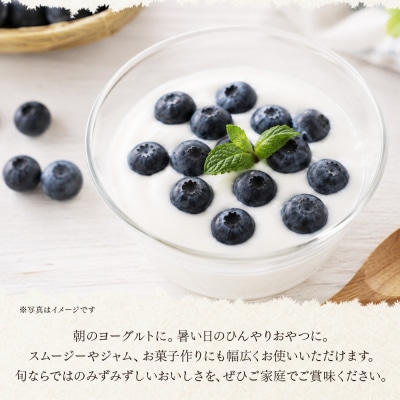 <愛媛県西予市産 朝採れブルーベリー ご家庭用 合計約1.5kg> 訳アリ 訳あり えひめ