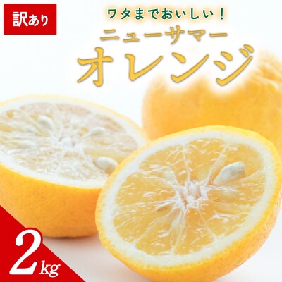 【先行受付】<訳あり 愛媛県産 ニューサマーオレンジ 約2kg>愛媛 ミヤモトオレンジガーデン