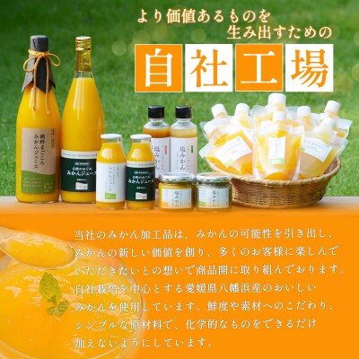 【先行受付】<訳あり 愛媛県産 ニューサマーオレンジ 約2kg>愛媛 ミヤモトオレンジガーデン