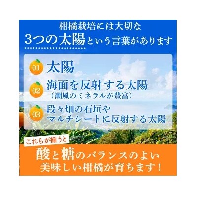 【先行受付】TSUGUMI せとかジュース 180ml×6 愛媛 えひめ 特産品