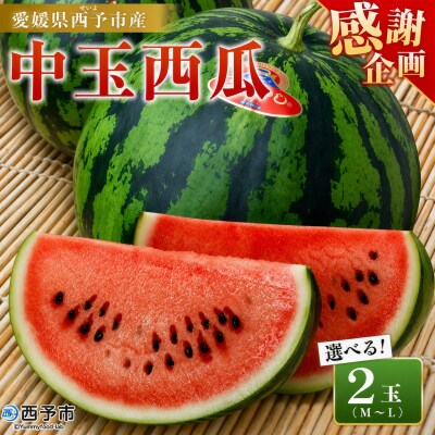 【感謝企画】スイカ <愛媛県西予市産 中玉西瓜 2玉> 果物 えひめ