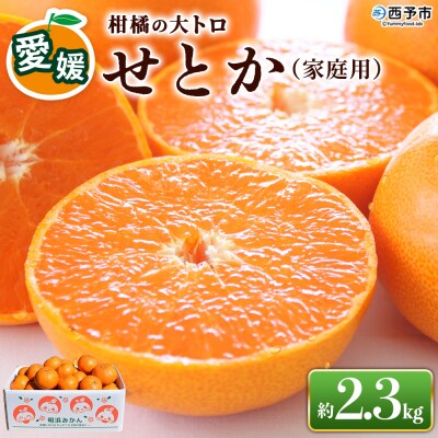 先行受付<せとか(家庭用)2.3kg>愛媛 えひめ 高評価 わけあり 訳あり