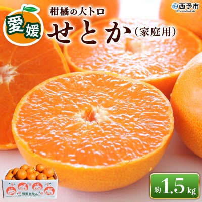 先行受付<せとか(家庭用)1.5kg>えひめ 高評価  訳あり 高級柑橘 柑橘の大トロ 