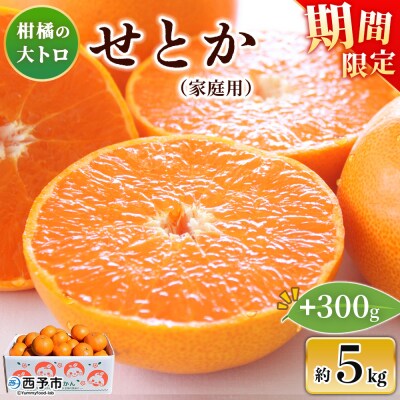 【感謝企画】先行受付<せとか(家庭用)5kg+300g>愛媛 えひめ 高評価 わけあり 訳あり