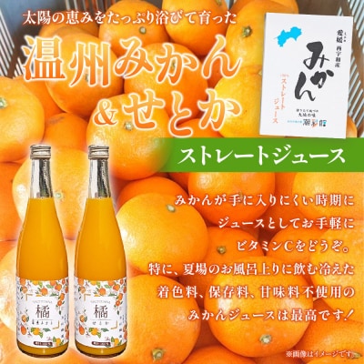 <【数量限定】果汁100% みかんジュース 720ml 6本セット>温州 せとか 愛媛