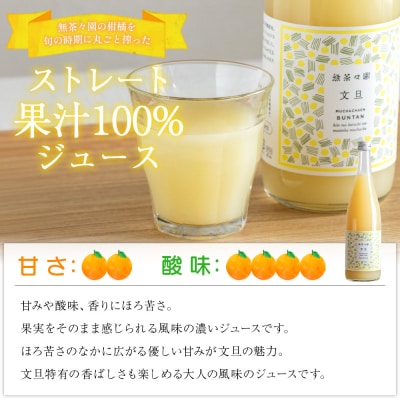 <無茶々園の文旦ジュース 720ml×3本> 柑橘 果物 オレンジ 文旦 えひめ 愛媛