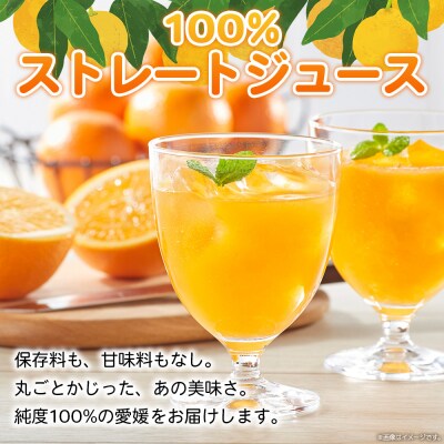 <今だけの「いよかんジュース」特別体験セット>果汁100% ストレートジュース 