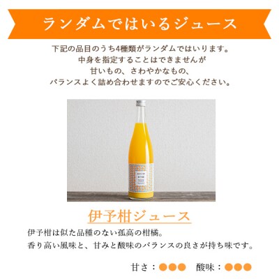 <無茶々園の柑橘ジュース 6本セット(720ml×6)> 愛媛 無茶々園 高評価 