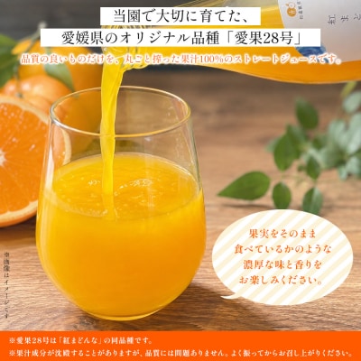 <紅まどんなジュース 720ml×2本>果汁100% ストレート 紅マドンナ